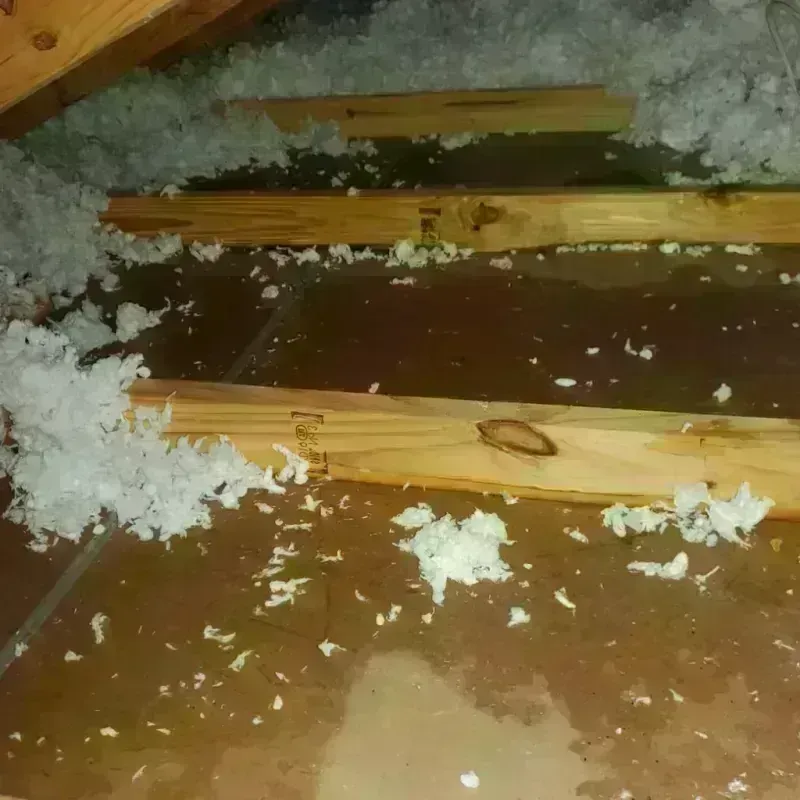 Attic Water Damage in Colonial Heights, VA